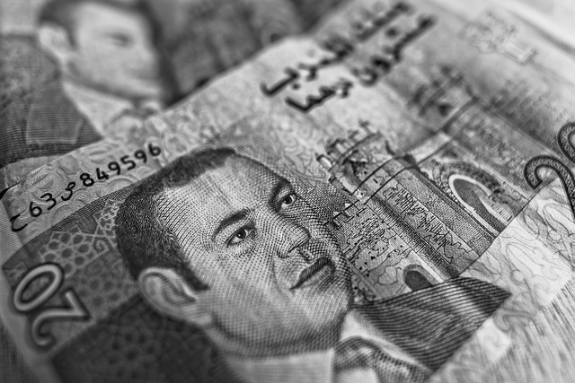 20 dirham.jpg